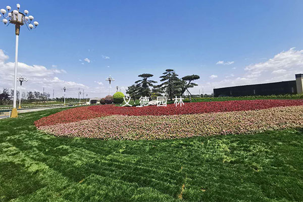 迎接全省中藥產業發展大會環境整